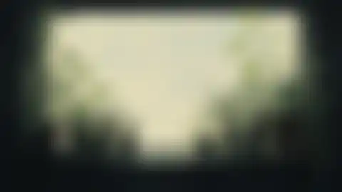 Blurred preview of a greenhouse window and plant shelf